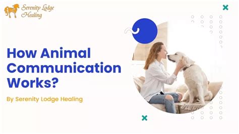 PPT - How Animal Communication Works? PowerPoint Presentation, free download - ID:10077596