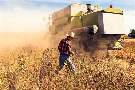 How to Start Soybean Farming in Kenya: A Step-By-Step Production Guide ...