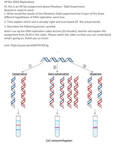 [Solved] Ap bio: assignment about dna replication (Meselon- stahl ...