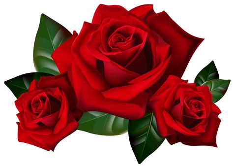 Free Red Flowers Transparent, Download Free Red Flowers Transparent png ...