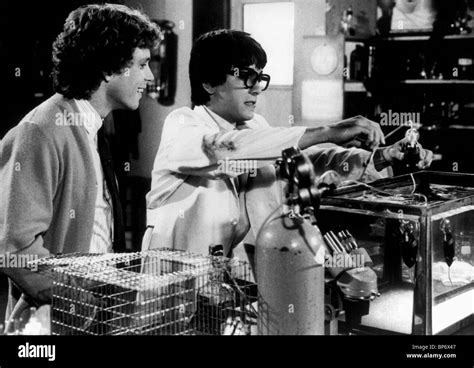 WILLIE AAMES & SCOTT BAIO ZAPPED! (1982 Stock Photo, Royalty Free Image ...