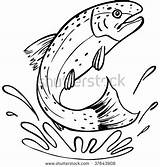 Rainbow Trout Coloring Page At GetColoringscom  Free Printable sketch template