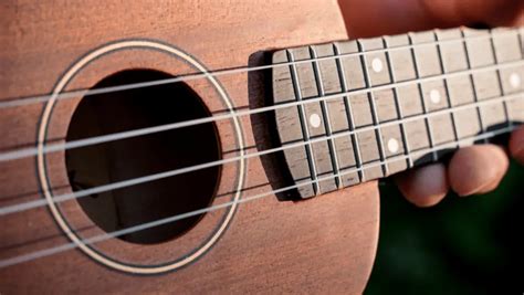 5 Best Low G Ukulele Strings In 2022 - NextInstrument