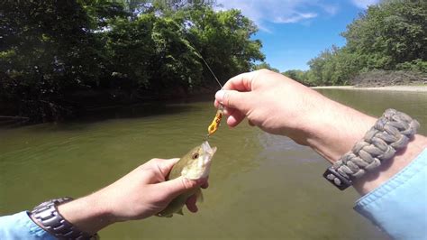 Rocky River Spinning and Fly Fishing for Smallmouth Bass - YouTube