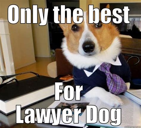 Lawyer dog - quickmeme