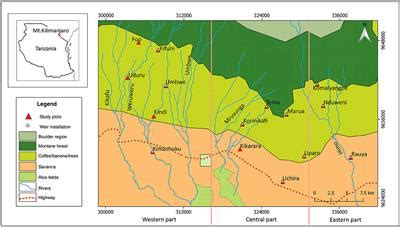 Frontiers | Distribution of Traditional Irrigation Canals and Their Discharge Dynamics at the ...