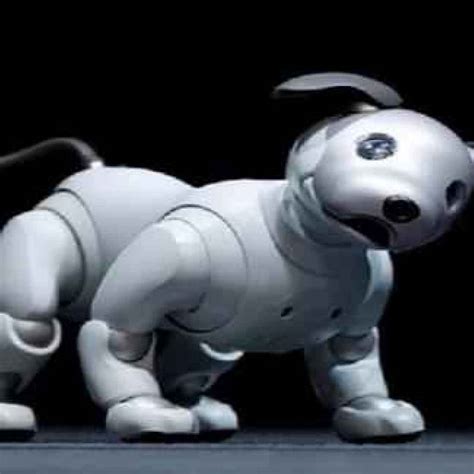 Aibo: Sony ricrea il suo cane robot più smart e connesso che mai (Robot)