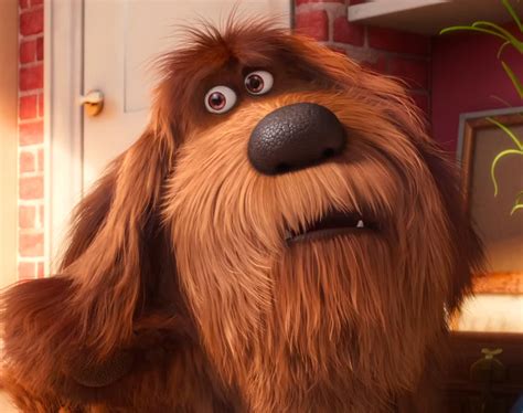 Duke | The Secret Life of Pets Wiki | Fandom