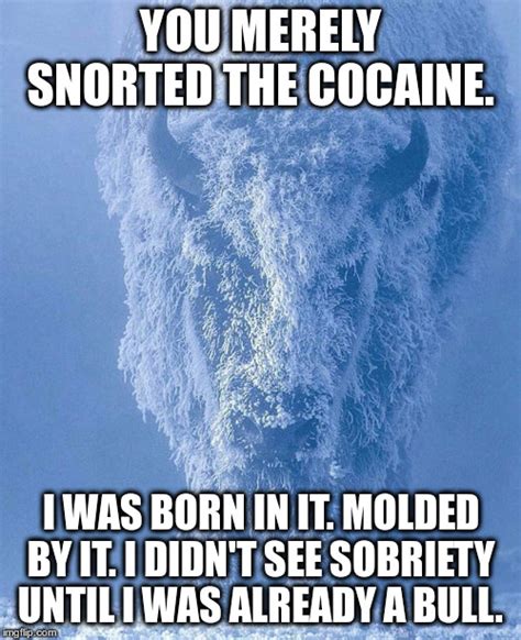 Haven't seen a good cocaine meme in a while : memes