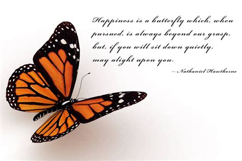 Grief Quotes With Butterflies. QuotesGram