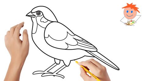 How to draw a sparrow | Easy drawings - YouTube