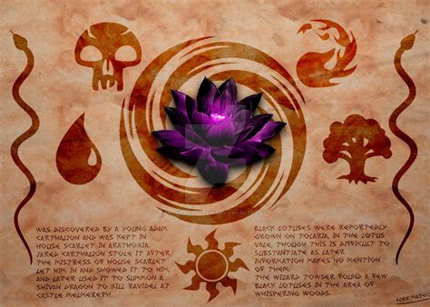 Black Lotus by TheXgamerX16 on DeviantArt