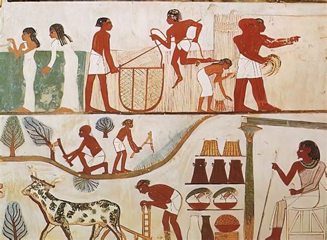 What was Daily Life like in Ancient Egypt at Giza? | Digital Giza