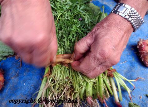 Taste of Nepal: Green Leafy Vegetables - साग-पात हरु - (Part 4)