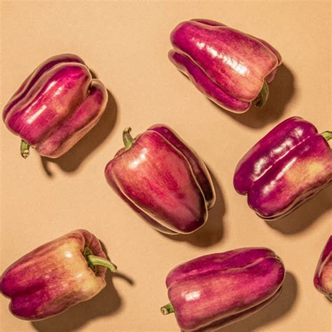 All About Purple Bell Peppers — Ark Foods - A Modern-Day Farming Company