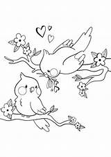 Cute Bird Coloring Pages sketch template