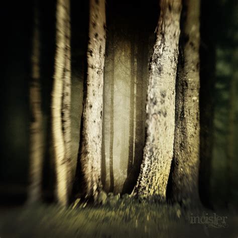 dark forest by incisler on DeviantArt