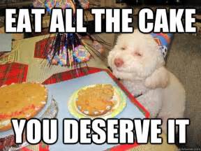 EAT ALL THE CAKE You deserve it - birthday meme - quickmeme