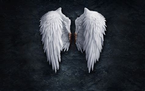 🔥 [0+] Angel Wings Wallpapers | WallpaperSafari