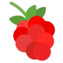 Raspberry Emoji | Discord Home