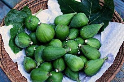 Harvesting And Storing Fresh Figs - When And How To Harvest Figs ...