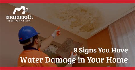 8 Signs You Have Water Damage In Your Home | Mammoth Restoration