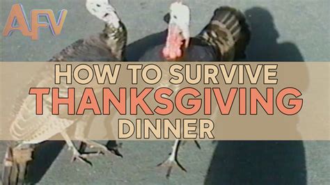 Watch these hilarious tips on how to survive Thanksgiving dinner - ABC7 ...