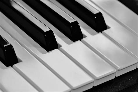 Free Images : music, black and white, technology, close, musical instrument, keyboard instrument ...
