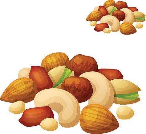 Best Cashew Illustrations, Royalty-Free Vector Graphics & Clip Art - iStock