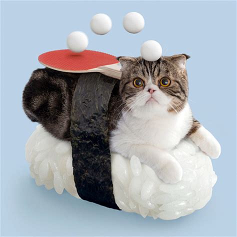 Sushi Cats