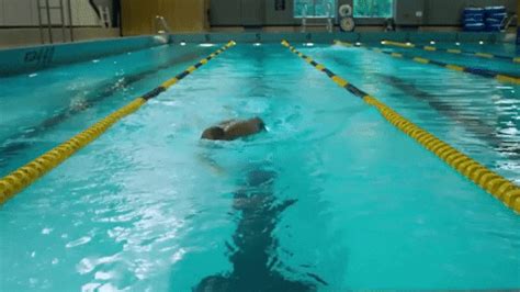 Fitness Swimming GIF by Western Illinois University - Find & Share on GIPHY