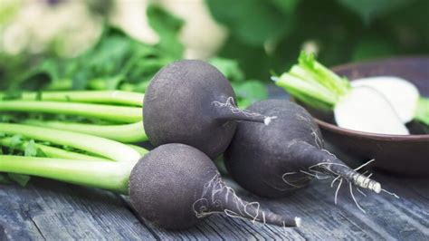 Qu'est-ce qu'un radis noir? Une introduction à la façon de manger ce délicieux légume