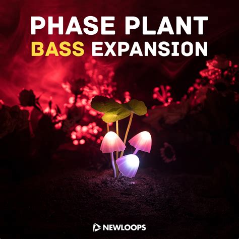 Phase Plant Bass Expansion (Phase Plant Presets) by New Loops - Presets for Phase Plant