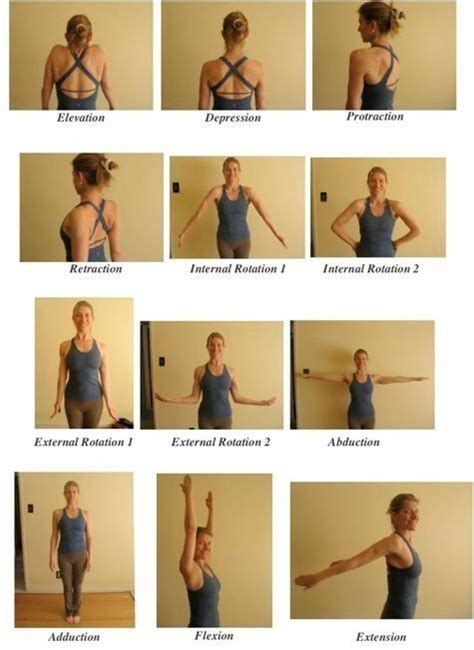 Pin by BadAssGaines on Physical Therapy | Collar bone workout, Shoulder range of motion, Exercise