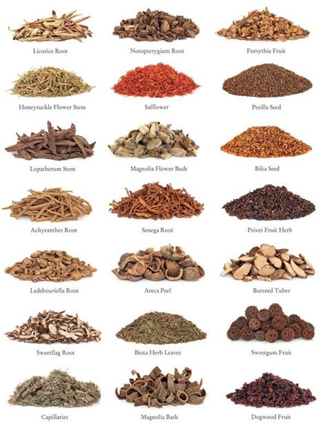 Common Chinese medicinal herbs | Herbs, Chinese herbs, Chinese ...