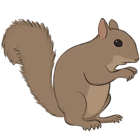 Squirrel Cartoon Images