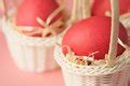 Free Stock Photo 8477 Basket of white chicken eggs | freeimageslive