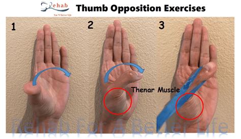 The Best Exercises for Your Painful Thumb Arthritis ! - REHAB FOR A ...