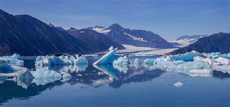 Bear Glacier Lagoon, Kenai Fjords NP (The most incredible place I've ...