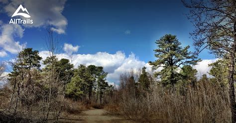 Best Trails in Albany Pine Bush Preserve - New York | AllTrails