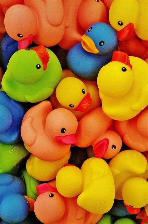 Rubber Duckies | Rainbow colors, Rubber duck, Rubber ducky