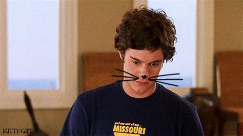 adam brody kitty-gifs gif | WiffleGif