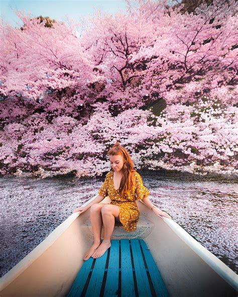 Shooting Sakura: Getting the Best Photos from Japan’s Cherry Blossom Season - Travelogues from ...