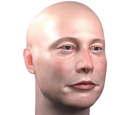 Elon musk bald Blank Template - Imgflip