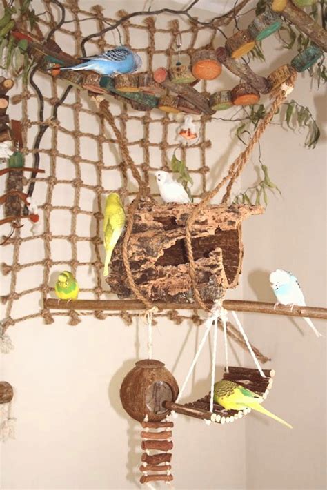 Great bird room idea for parakeets | Bird room ideas, Pet bird cage, Bird supplies