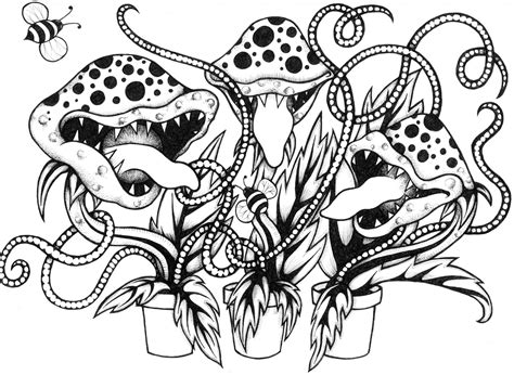 venus fly trap carnivorous plant coloring sheet