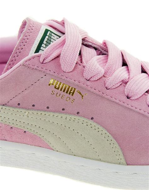 Schnorchel Sockel Obsession puma suedebaby Center Gang Übersetzen