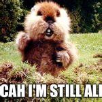 Caddyshack Gopher Meme Generator - Imgflip