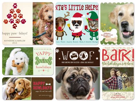 pet-lover-holiday-photo-cards-dog-cat-christmas-cards-for-pet-christmas ...