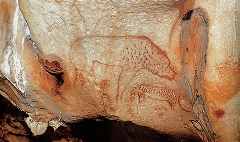 Cave Paintings Of Bears